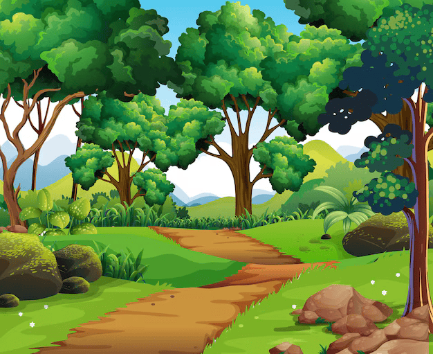 scene-nature-sentier-randonnee.png